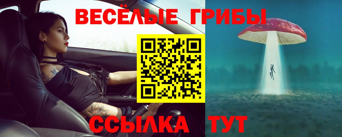 Псилоцибиновые грибы мухоморы  Вход с VPN  Майкоп  Псилоцибиновые грибы Magic Shrooms 